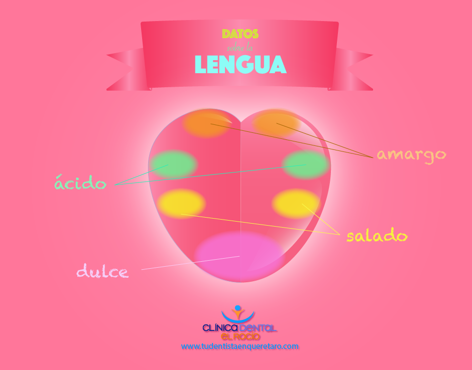 lengua