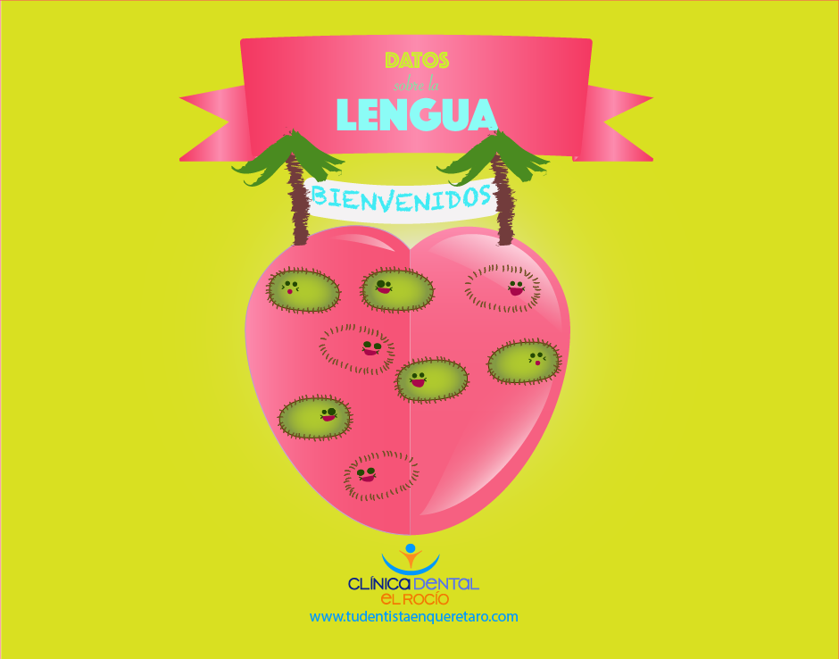 lengua datos
