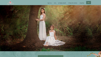עיצוב עמוד בית ושפה עיצובית
לאתר קטלוג נטעל'ה | עדי ישראלי סטודיו לעיצוב ומיתוג