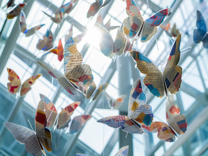 How the Language We Use Shapes AI's Perception, Responses, and Reality Over Time