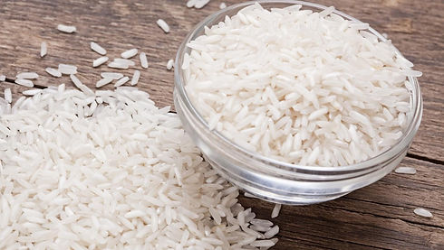 04-zs-rice_296-ab_edited.jpg