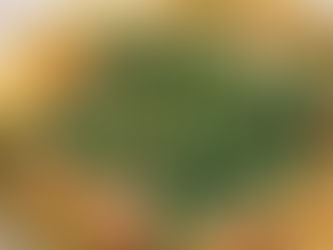 DOMUZ PASTIRMALI VE ROKALI PİZZA 