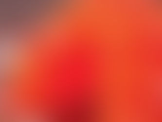 PAPAYA MEYVELİ JÖLE
