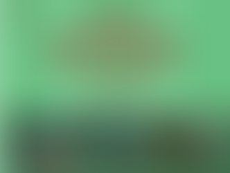 Uma breve análise do Fluminense em 2018: Um fracasso com nome e sobrenome: Pedro Abad