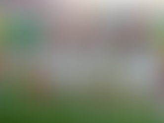 Seleção Alemanha 2014