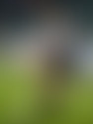 O versátil defensor