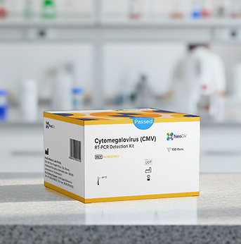 Cytomegalovirus (CMV) Real-Time PCR Detection Kit.png