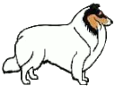 blanc tri.gif