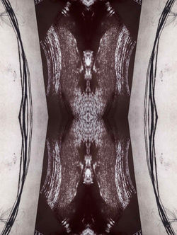 Wax Reflexion 13