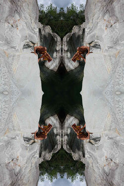 Wax Reflexion 12