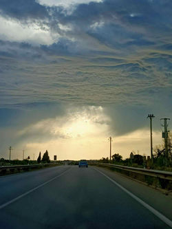 IMG-20230917-WA0016 (1)