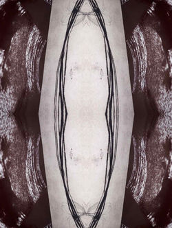 Wax Reflexion 14