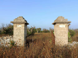 IMG20230714065220