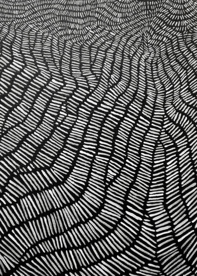 2019 Leura Detail Emma Pattenden artist landscape art acrylic.jpeg