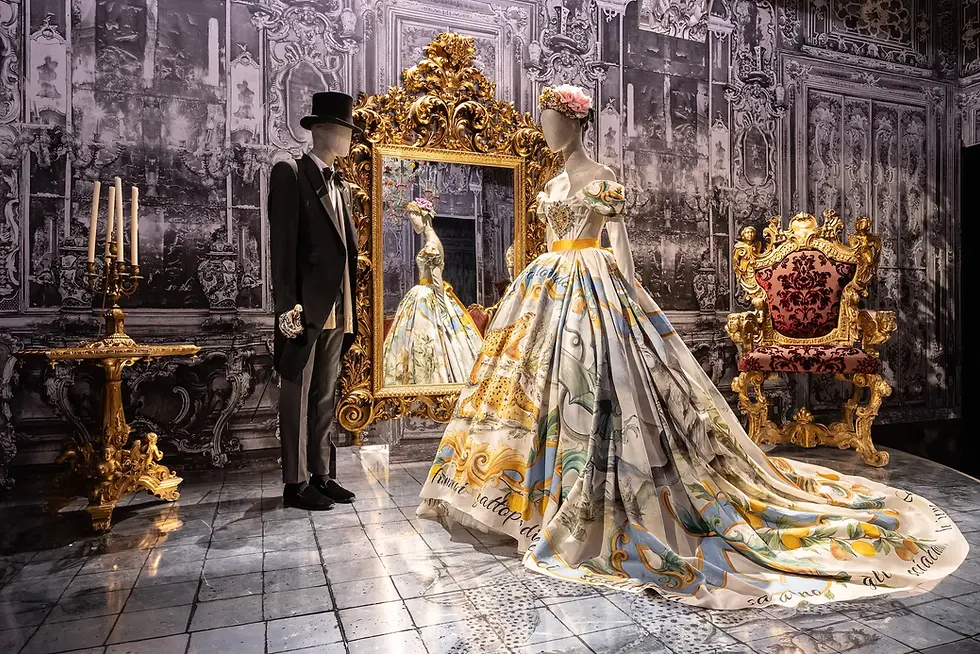 robe dolce gabbana expositions