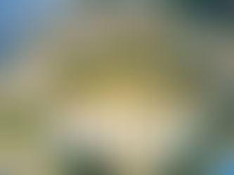 Top 10 places you must visit in Sri Lanka