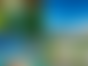 Top 5 experiences in Sri Lanka for nature lovers