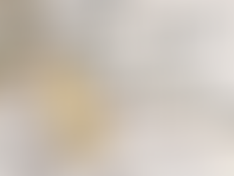 Experience Jaffna, Sri Lanka