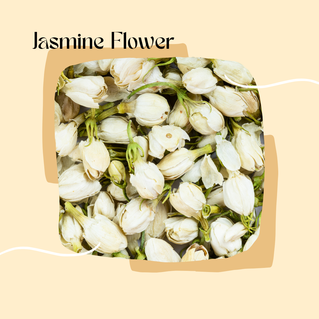 Jasmine Flower – Fragrant Blossoms | Calming & Digestive Support
