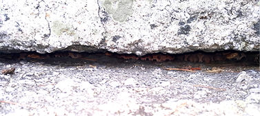 NY, ULST, Tilson - Dietz Farm Den - June 26th, 2018 - 02.jpg