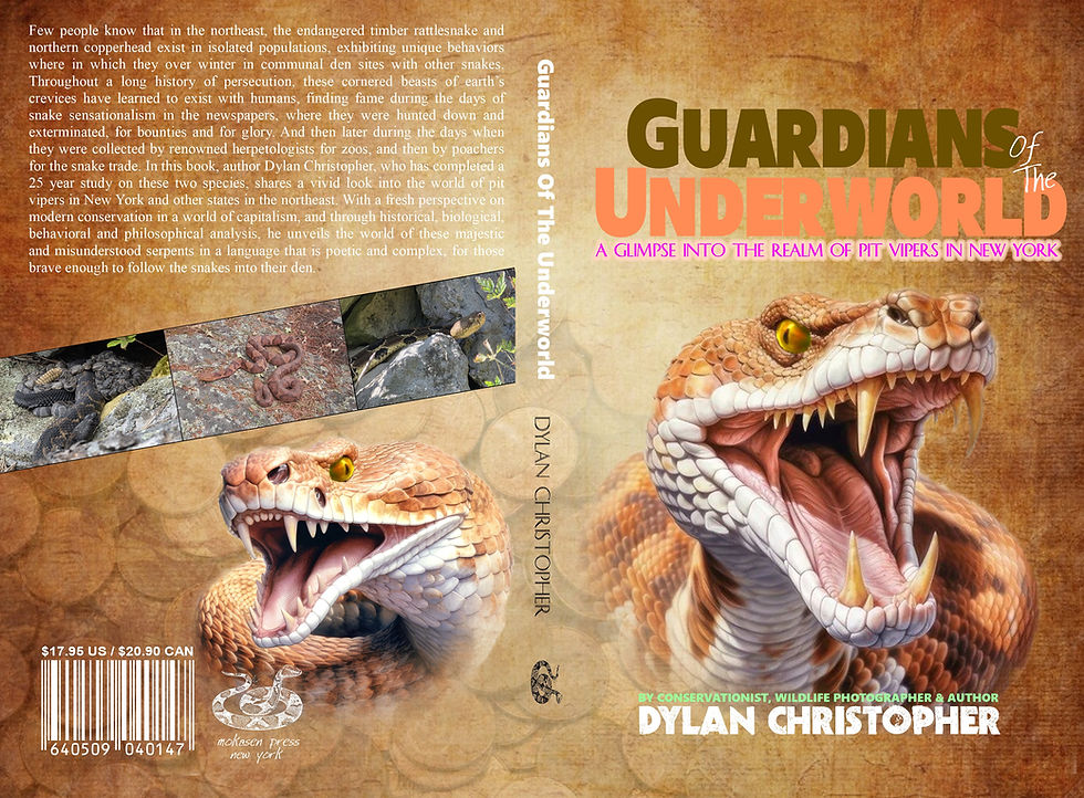 Guardians Of The Underworld - WIP 01.jpg