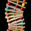 Miniature : Rio rainbow 
