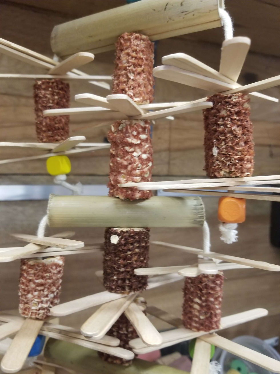 Miniature : Pop en folie