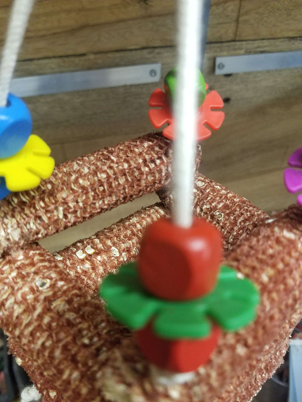 Miniature : Panier pop