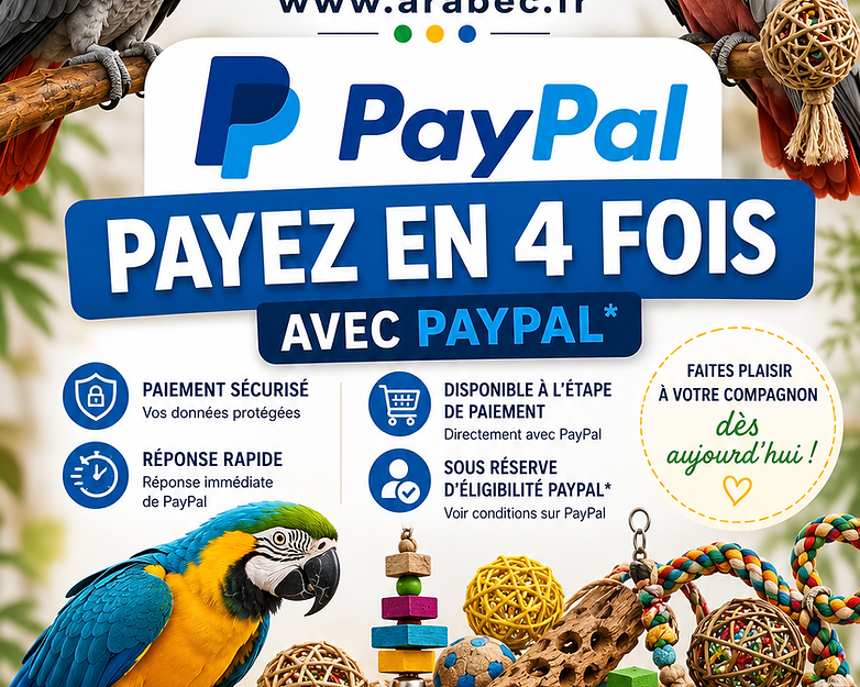 ChatGPT Image 19 juin 2026, 09_22_12.png