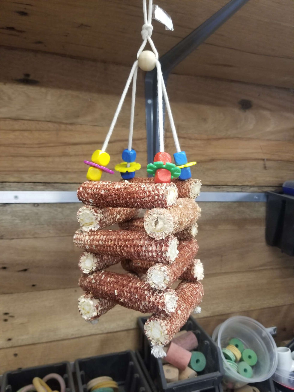 Miniature : Escalade pop