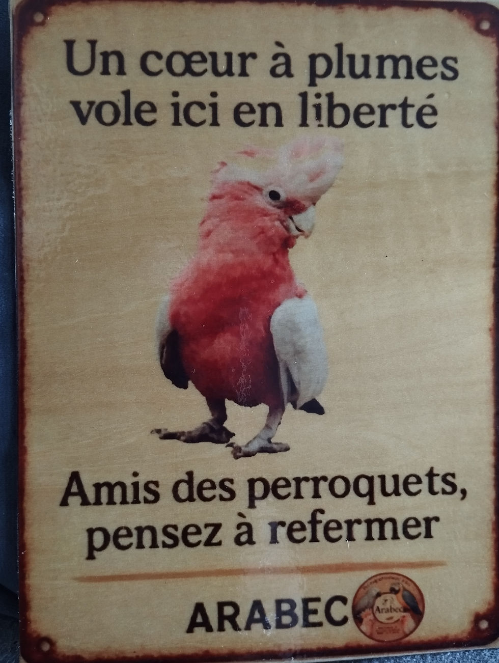 Miniature : Plaque porte *Coeur à plumes* 