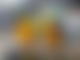 L’ENRICHISSEMENT : ESSENTIEL POUR LE BIEN-ÊTRE DE VOTRE PERROQUET !