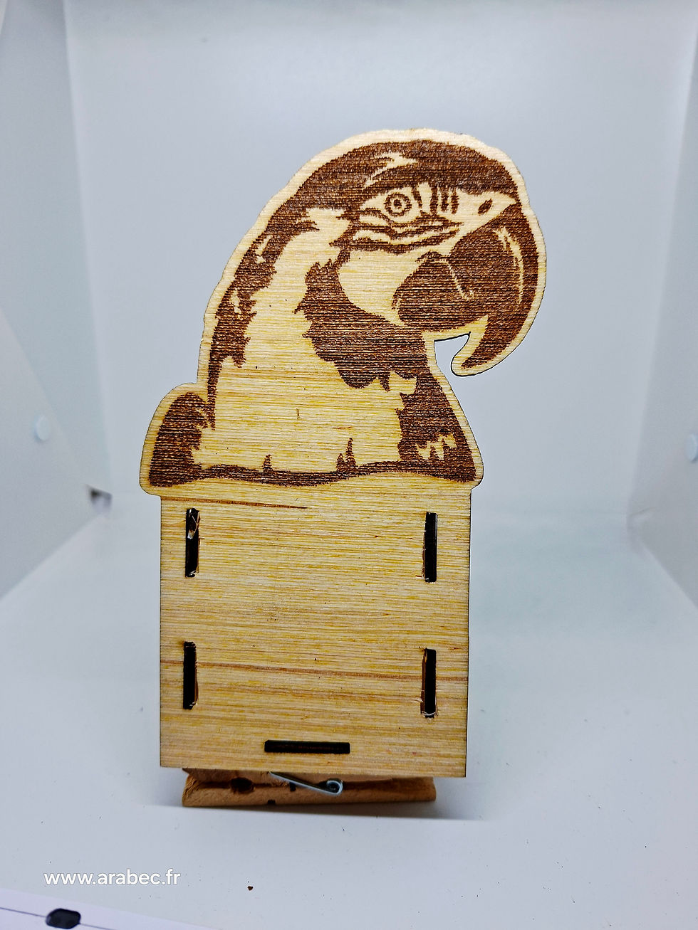 Miniature : Pot ara rauna 