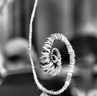 Rindenspirale