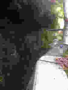 image (25).jpeg