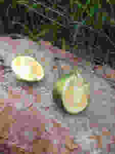 image (31).jpeg