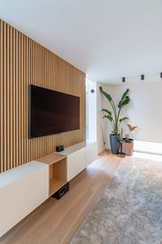 A modern living room featuring a wooden accent wall with a flat-screen TV mounted on it, alongside a light-colored furniture unit. There are decorative plants in planters, and the flooring appears to be light wood.