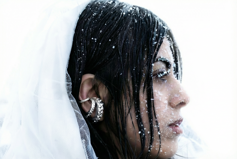 Close up_snowed (1).png