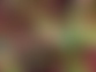 Herbststurm draußen, Farbensturm drinnen