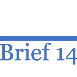 Brief 14