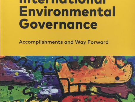 New Report on International Environmental Governance Reform Published
