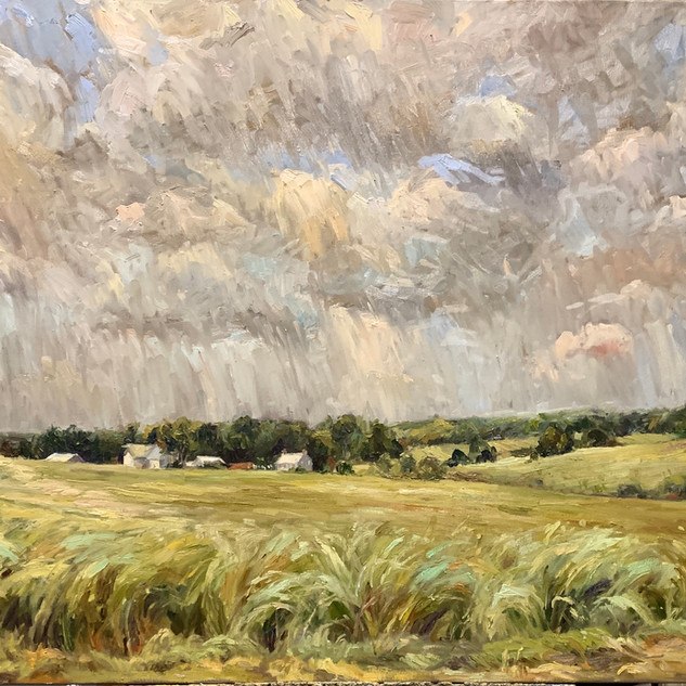 Billowing Fields