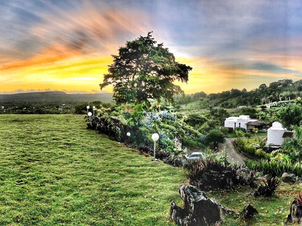 Surrounded by nature