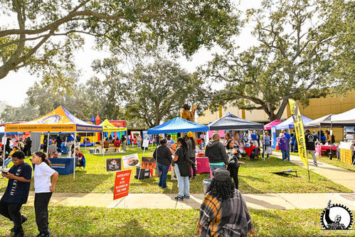 Dr. Martin Luther King Jr. Steering Committee, Inc., Festival in the Park, Sanford Florida
