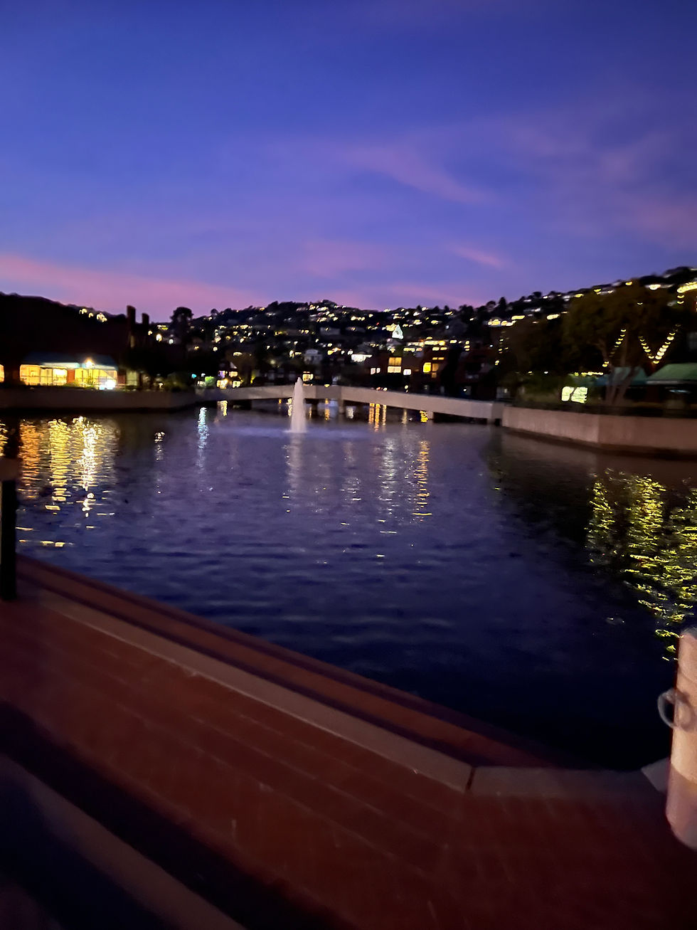 Tiburon at night