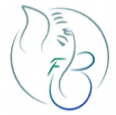 1D9D40A9-0930-4B56-BA8F-83654231D853.PNG