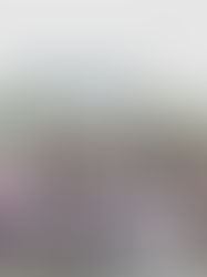 Jejak Inspiratif Delegasi ALSA Local Chapter Unhas di ALSA National Conference 2025