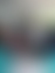 ALSA Legal Advocation (ALVO)