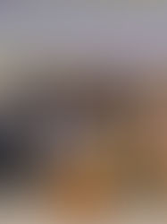 Kolaborasi ALSA LC Unhas dalam Kegiatan ALSA Care and Legal Coaching Clinic 2025 Bersama Pemerintah dan Komunitas Lokal dalam Memperjuangkan Hak Atas Lingkungan Sehat dan Akses Air Bersih