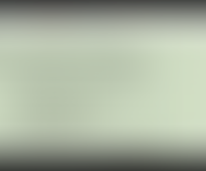 ALSA TOEFL Class (ATC)